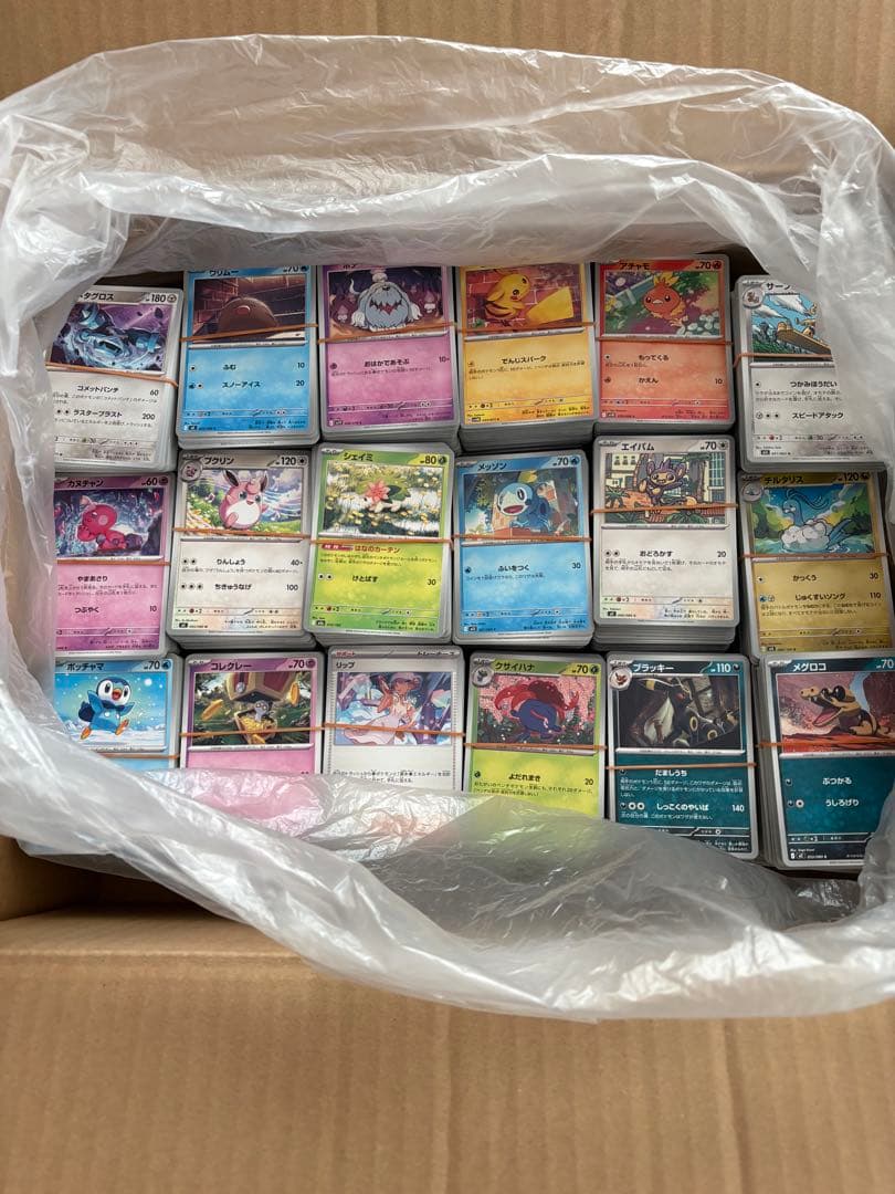 ポケモンカード 断捨離 セット