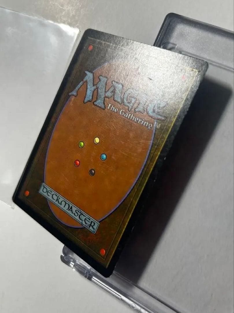 セラの聖域 1枚