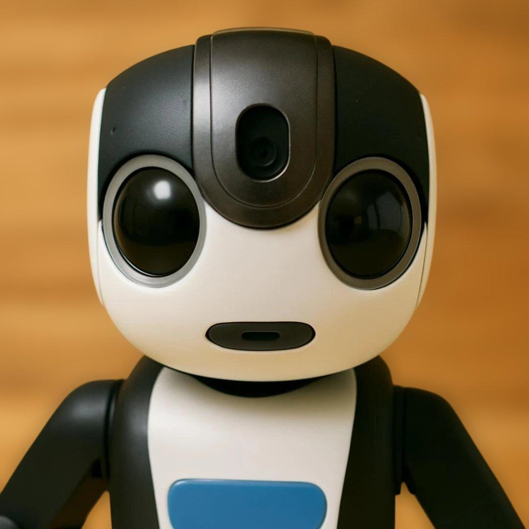 ロボホンSR-04M-Y＊お洋服5点付＊美品＊付属品完備