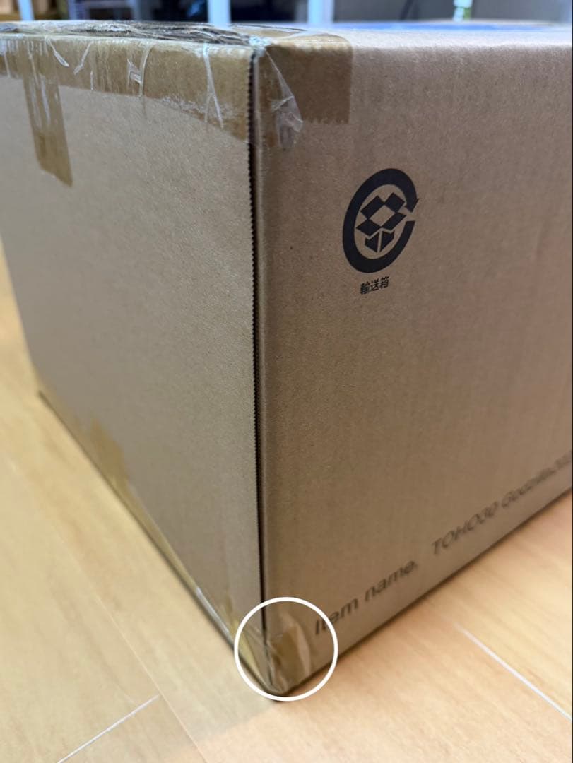 【新品未開封】東宝30cmシリーズ ゴジラ（2023） 少年リック限定版