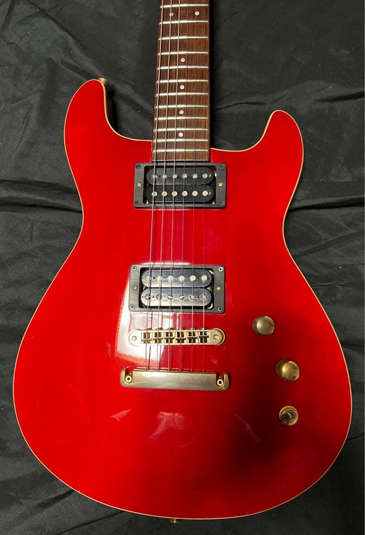 【Fernandes】APG-100