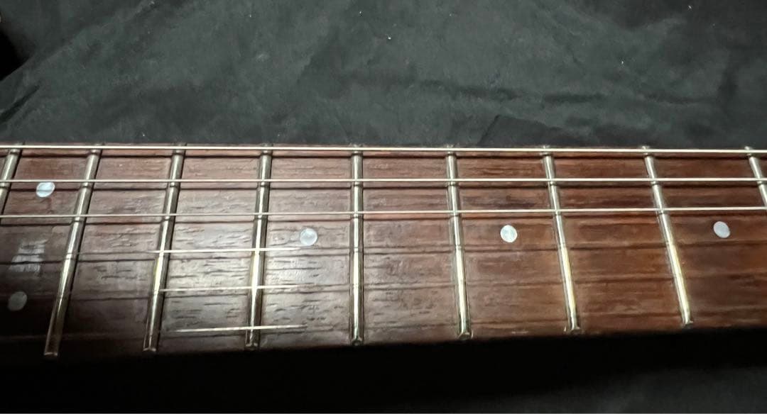 【Fernandes】APG-100