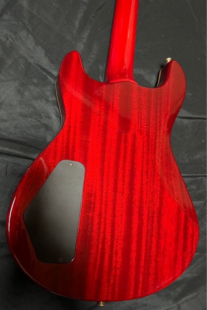 【Fernandes】APG-100