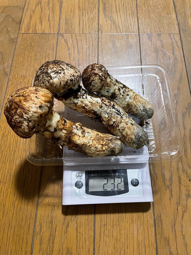 10月19日 訳あり岩手県産松茸 232g