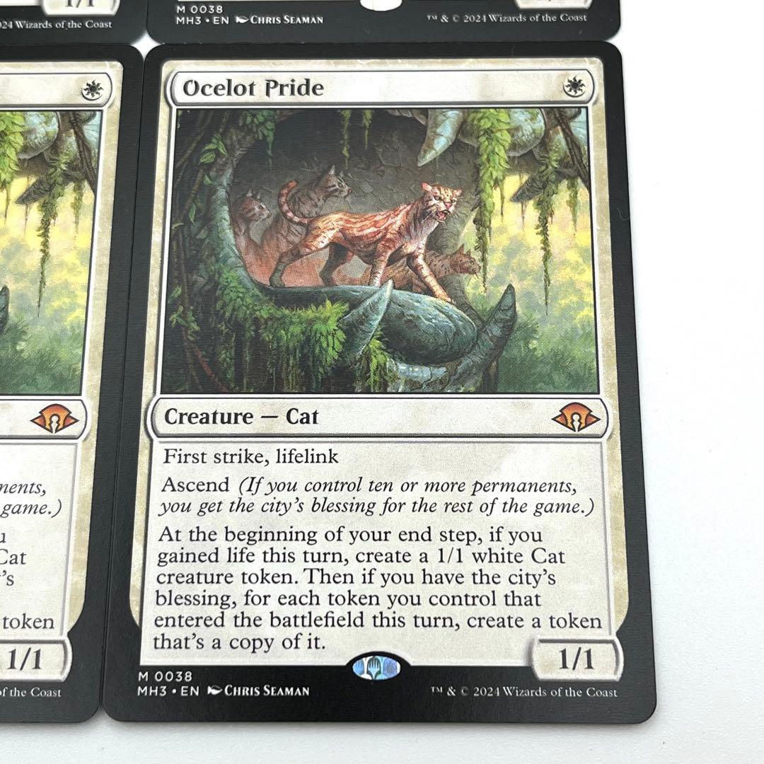 オセロットの群れ　4枚セット　英語　MTG