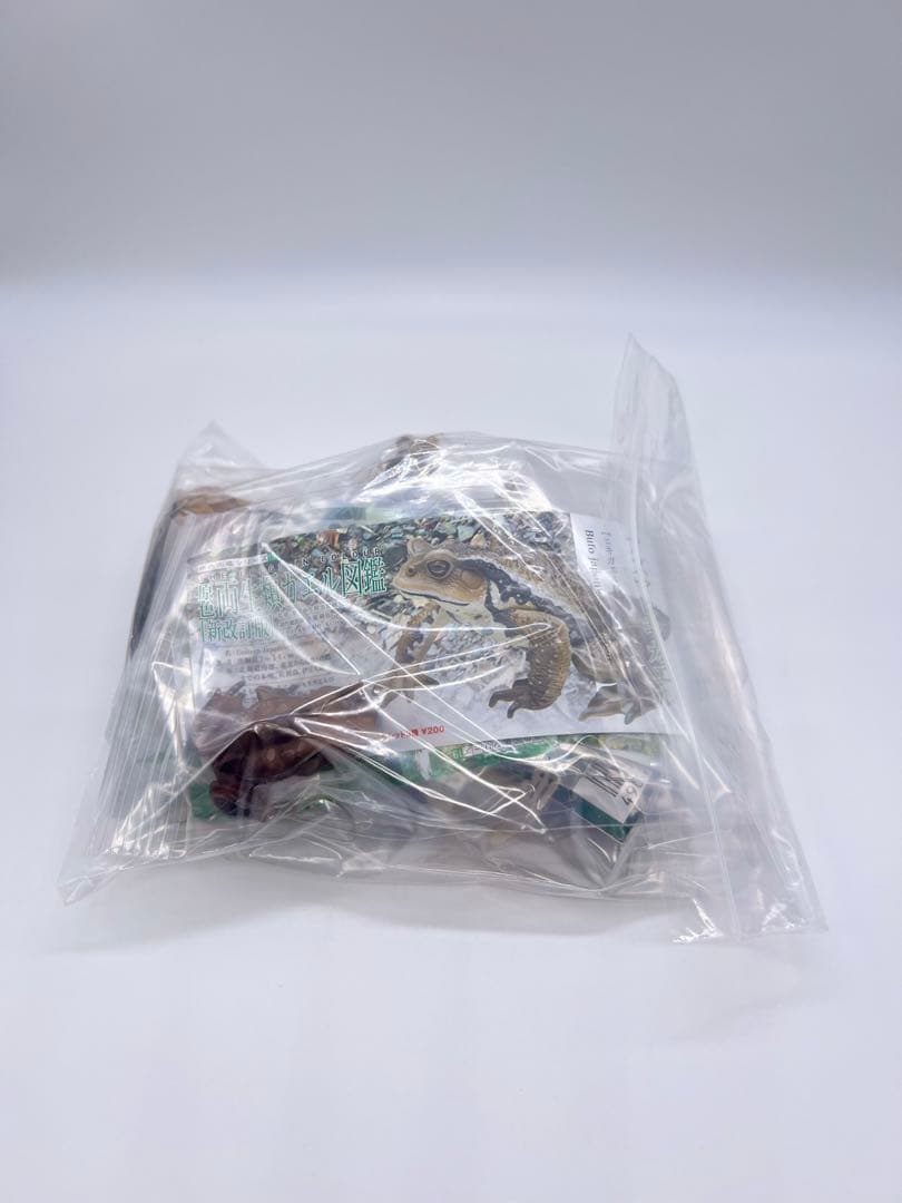 原色両生類カエル図鑑 [新改訂版]