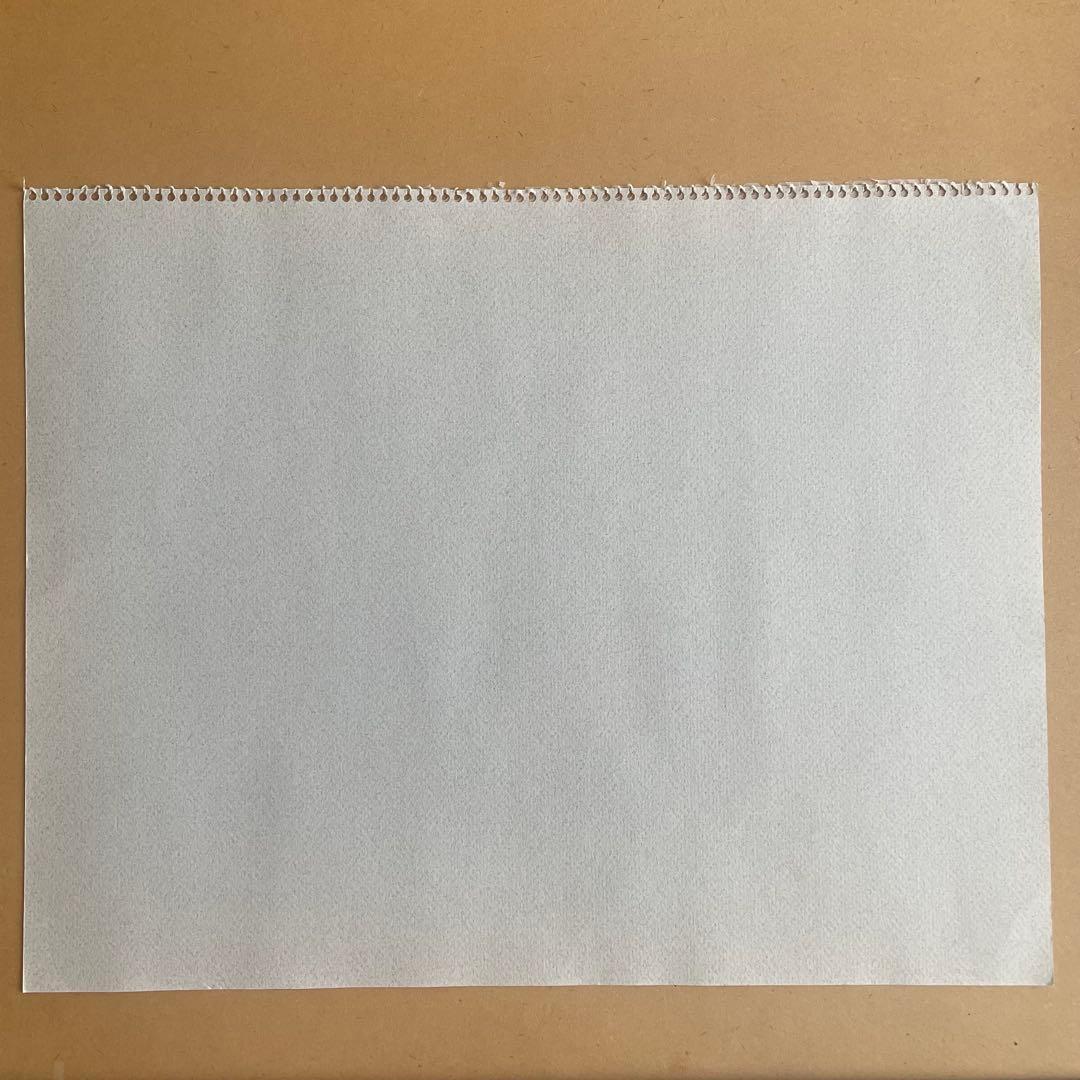 パステル画/色褪せない花束の贈り物/癒し/ヒーリング/パワースポット/アネモネ