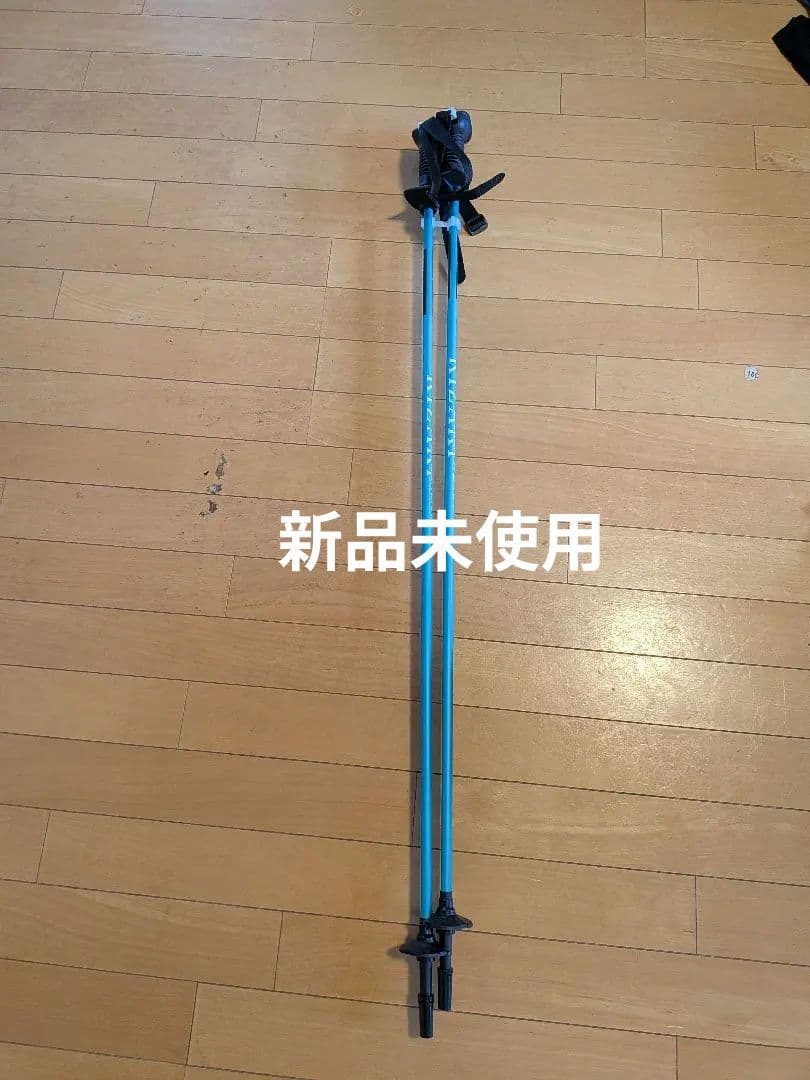 キザキスキーポール　トレジャーカーボン　105cm