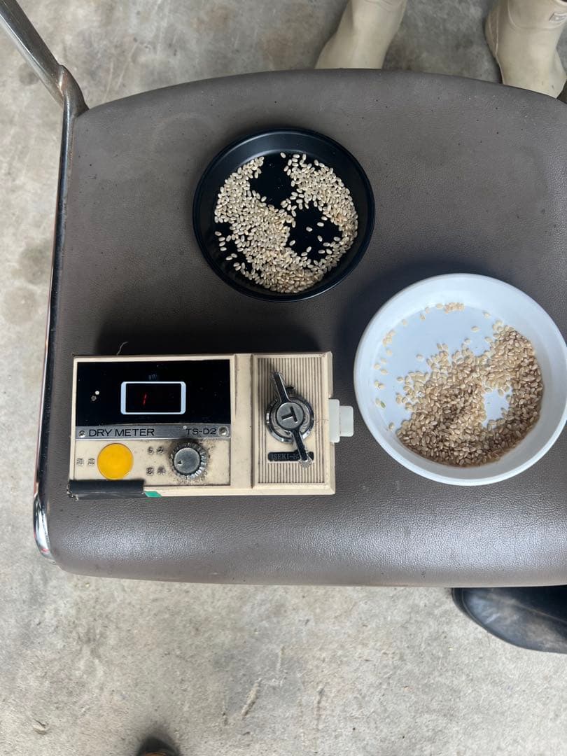 ミルキークイーン　玄米10キロ　滋賀県産