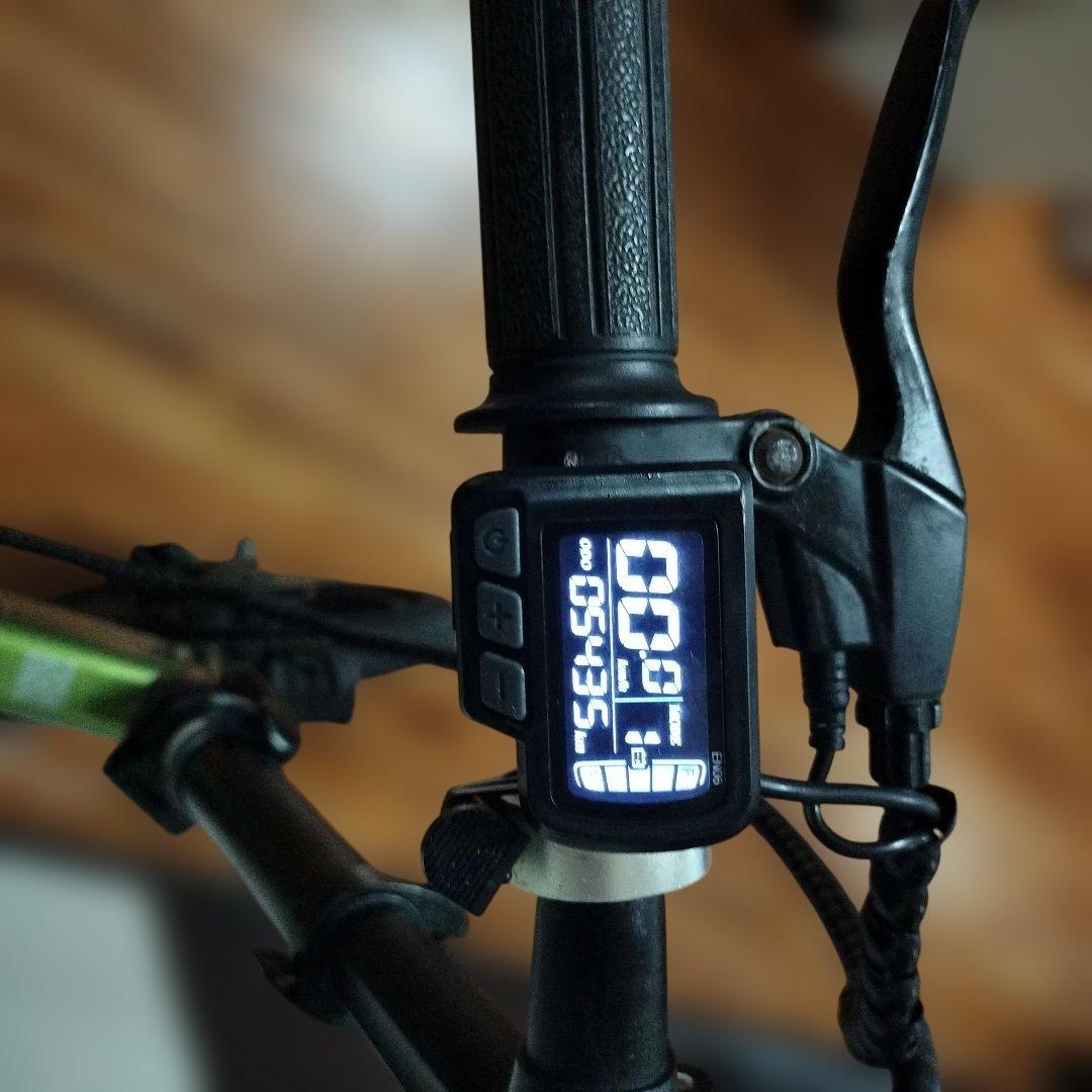 Holden 電動アシスト自転車 グリーン