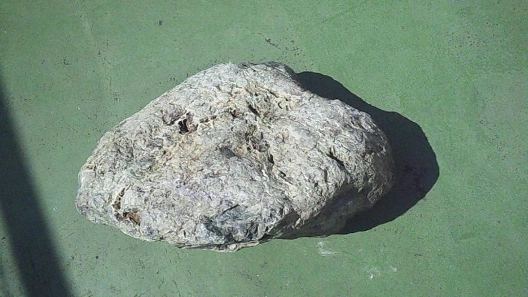 ｍ.天然石　埼玉県寄居　蛇紋岩　11ｋｇ　観賞用、庭石、水石、盆栽、盆石