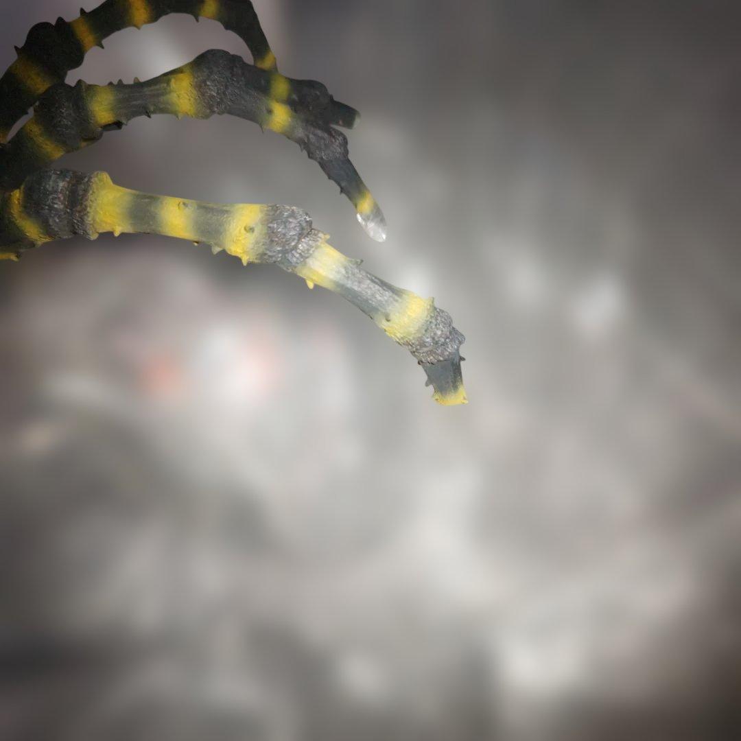 東宝大怪獣シリーズ　クモンガ　少年リック限定版　カマキラス台座付属　フィギュア