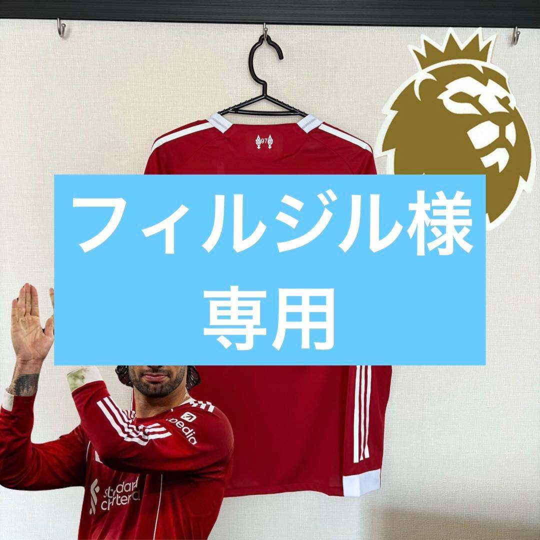 フィルジル　ソボスライ L