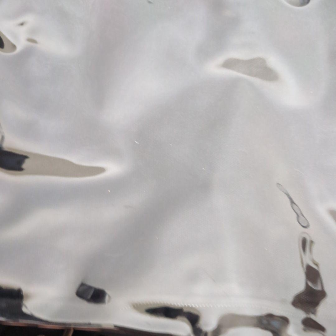 パラライ 伊藤紗月 痛バ