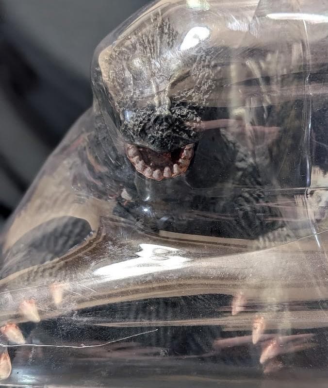 ゴジラ1962～キンゴジ（バンダイミュージアム）未開封ソフビフィギュア