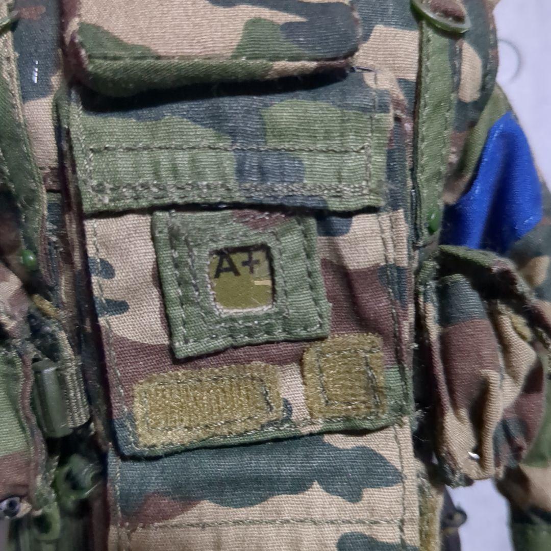 1/6 12インチ 特殊部隊カスタムフィギュア CS84