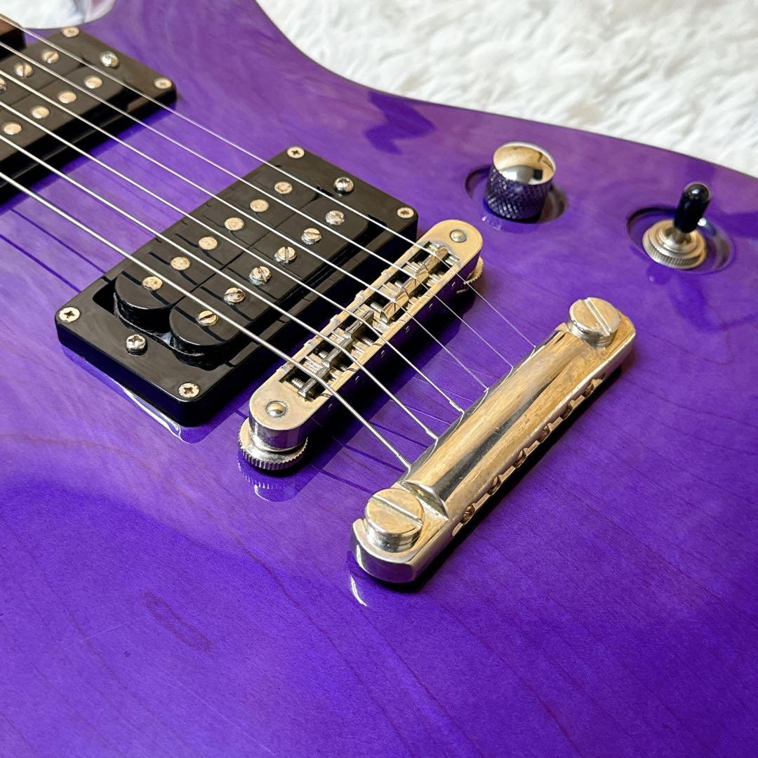 FERNANDES APG-standard セットネック仕様 パープル 紫