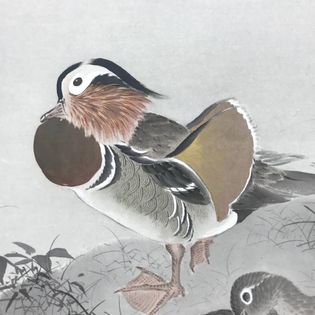 【真作】桂田湖城/月岩鴛鴦図/オシドリ図/花鳥図/掛軸/名家伝来/AC-612