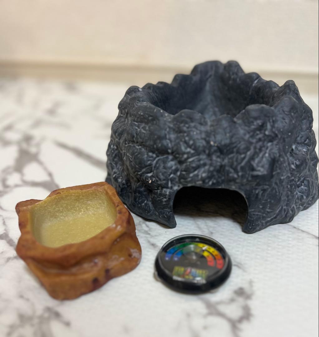 美品 GEX エキゾテラ グラステラリウム 3030 爬虫類 ガラス ケージ