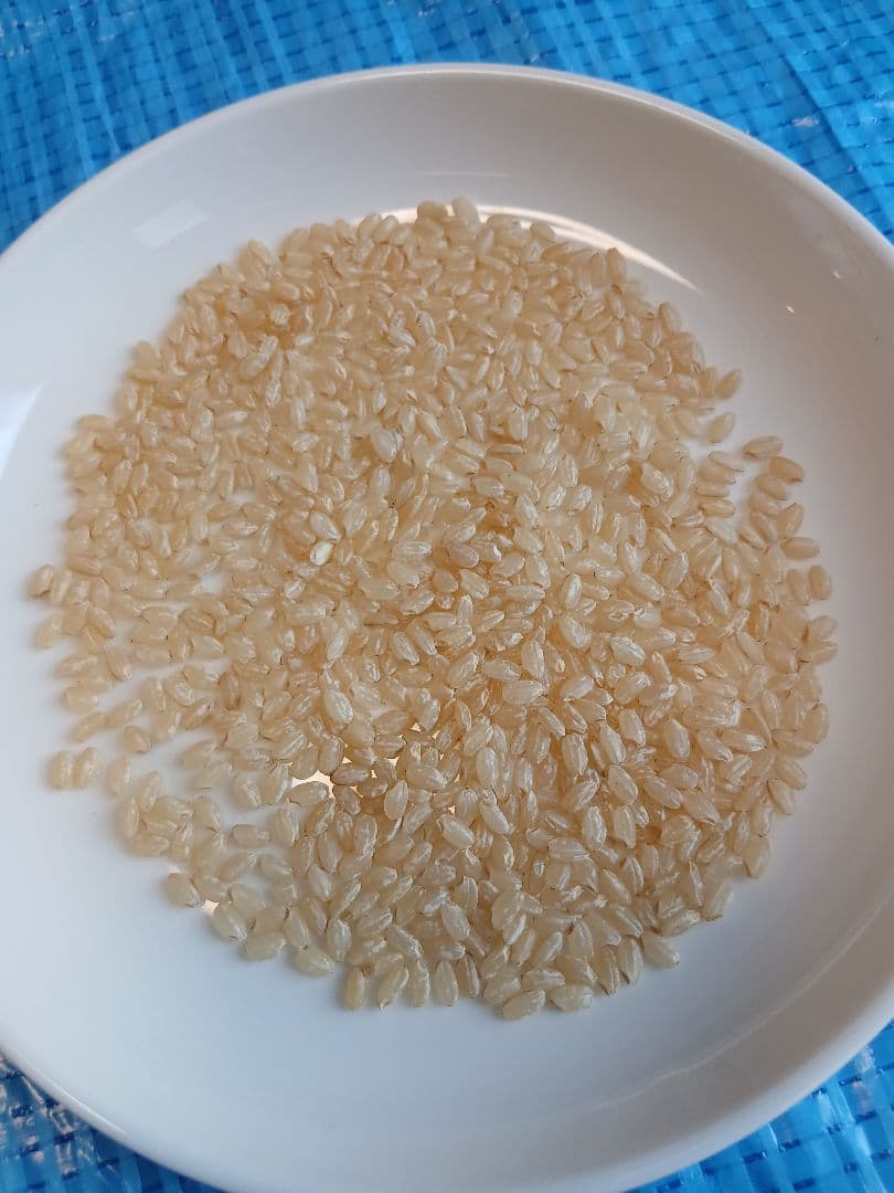 令和３年産　山形県産　つや姫　玄米20㎏（5kg×4袋） 古米　訳あり　備蓄米