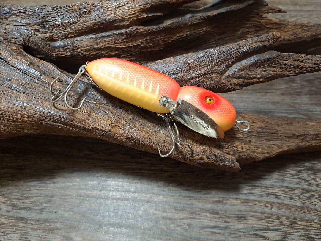 道楽　DOWLUCK　ヤゴの朝吉