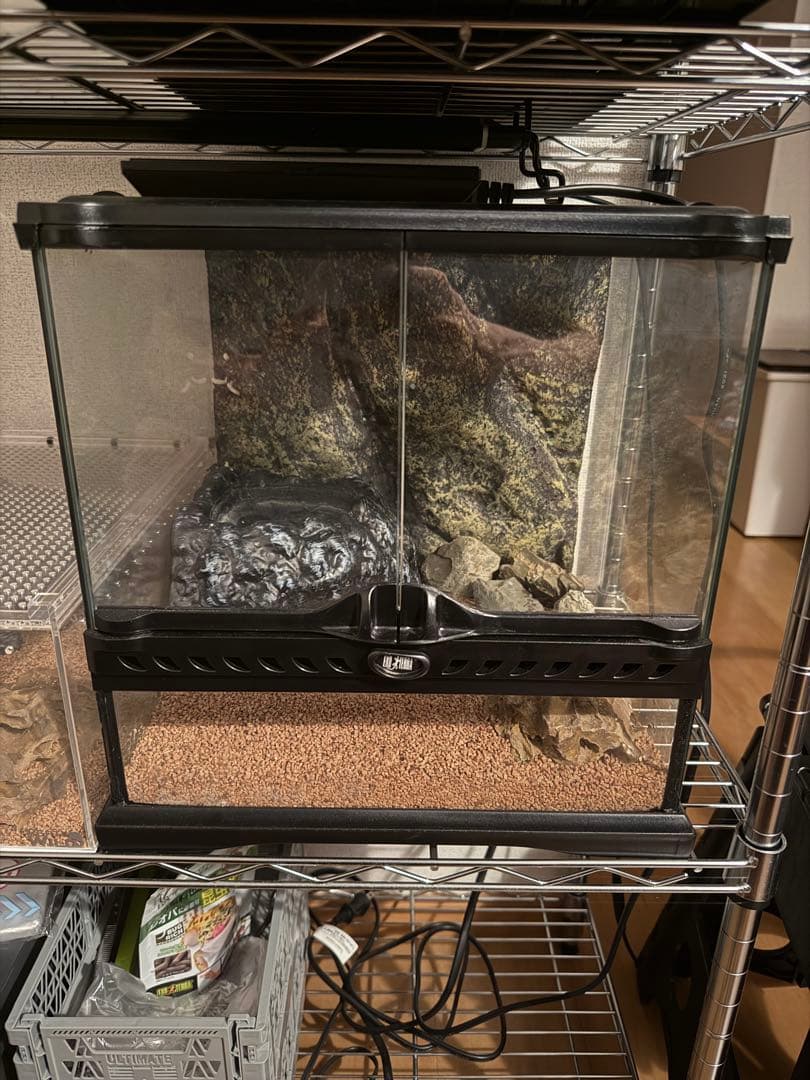 EXO TERRAグラステラリウム3030 パネルヒーター　上部ヒーターセット