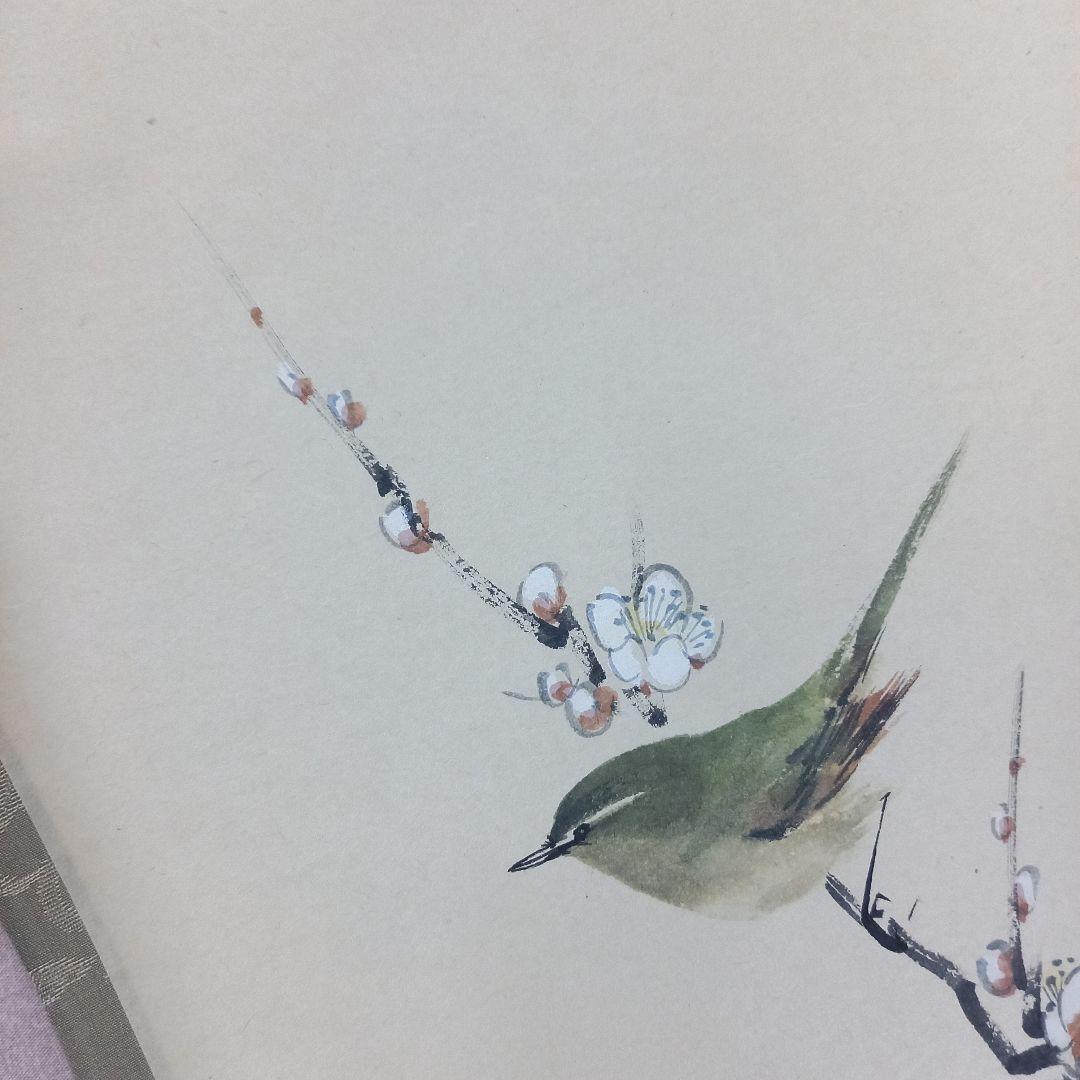 掛け軸 前大徳須賀玄道 梅と鶯 尺巾立 日本画