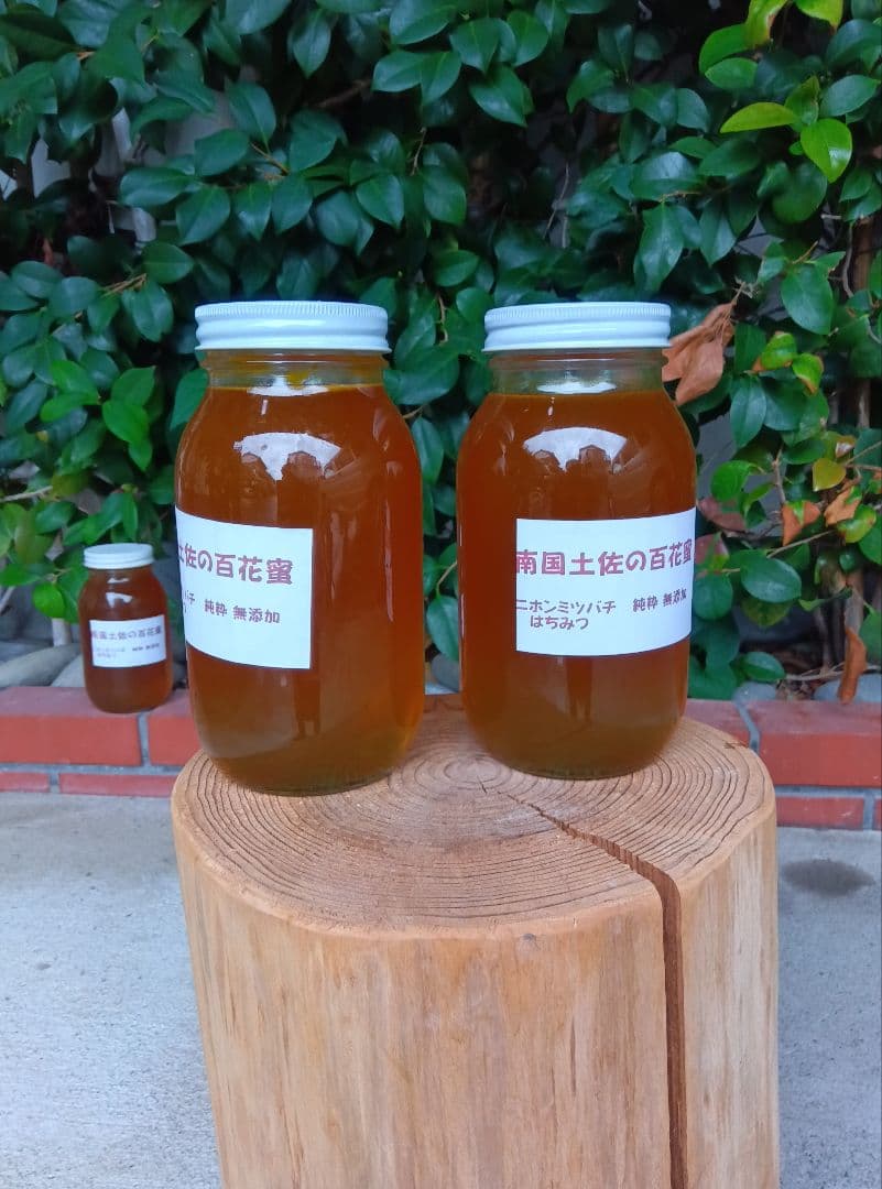 南国土佐の百花蜜　ニホンミツバチはちみつ　無添加　無加工　1170g✕2本