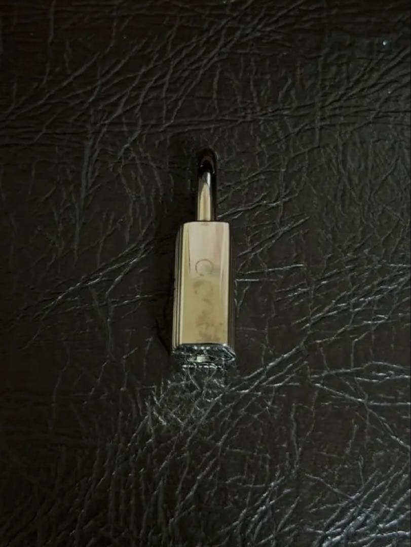 レイセフォー1122 エルメスカデナ 南京錠 シルバー #104.