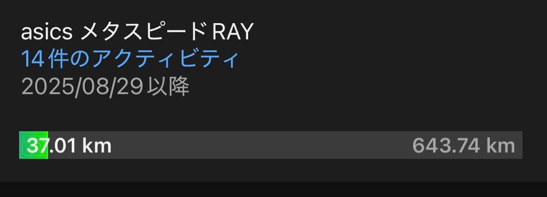 ASICS SPEED RAY 26.0cm 走行37km