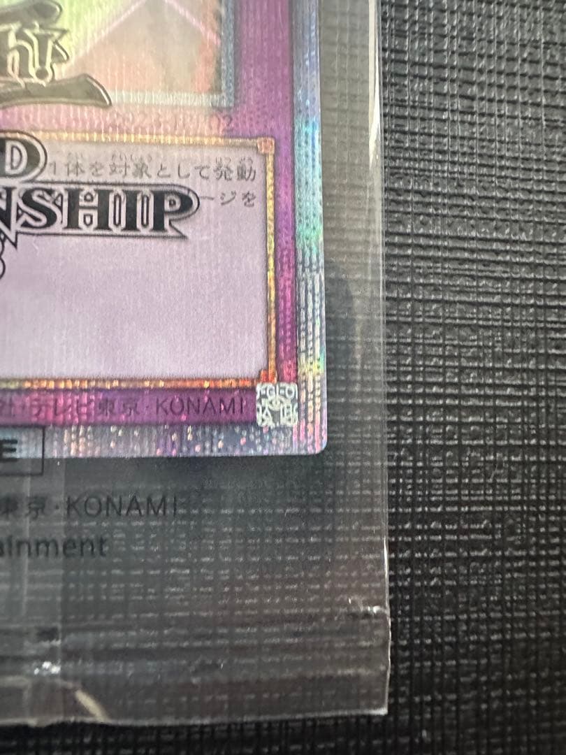 遊戯王　未開封　WCS2023 ブラックマジシャンガール　魔法の筒