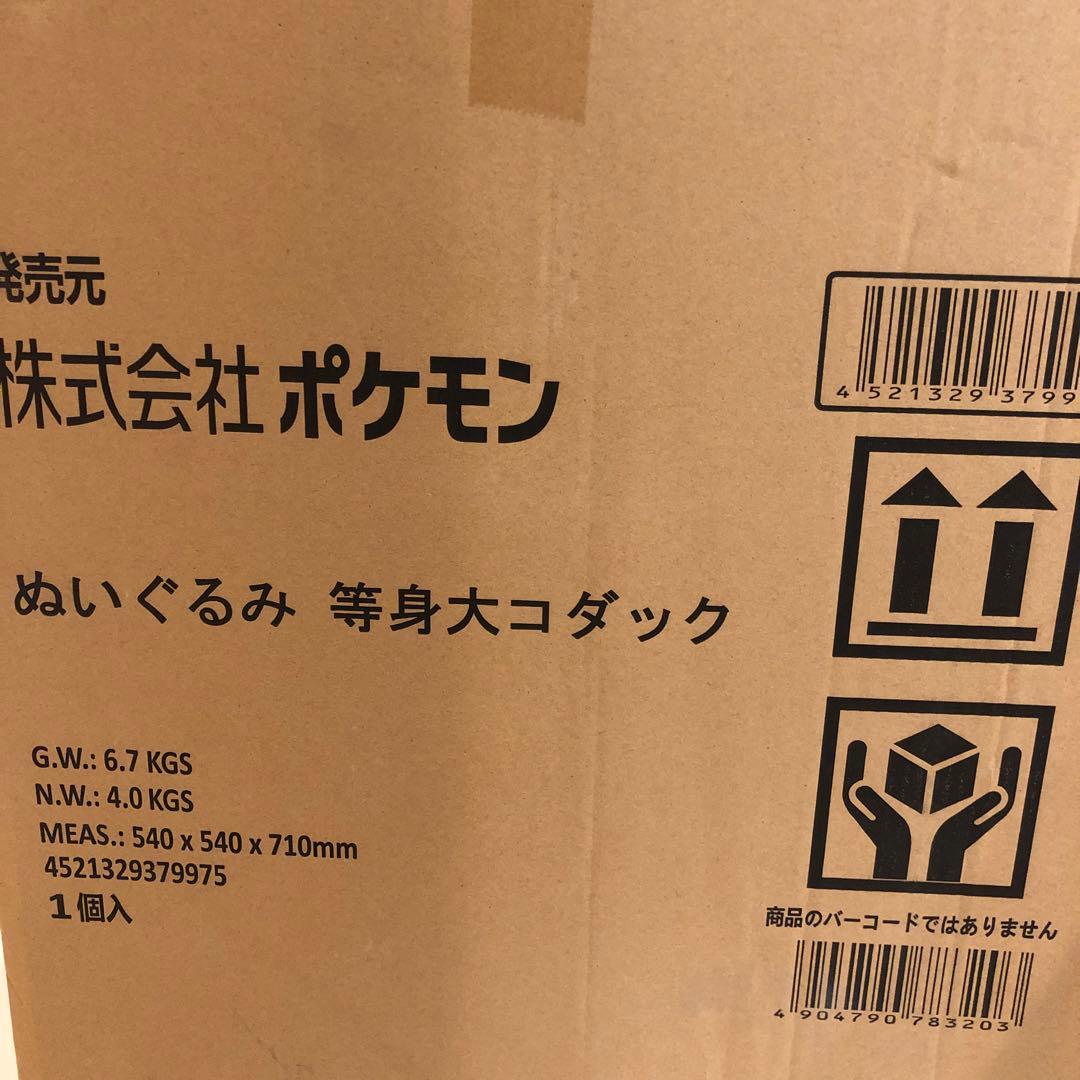 等身大　コダック