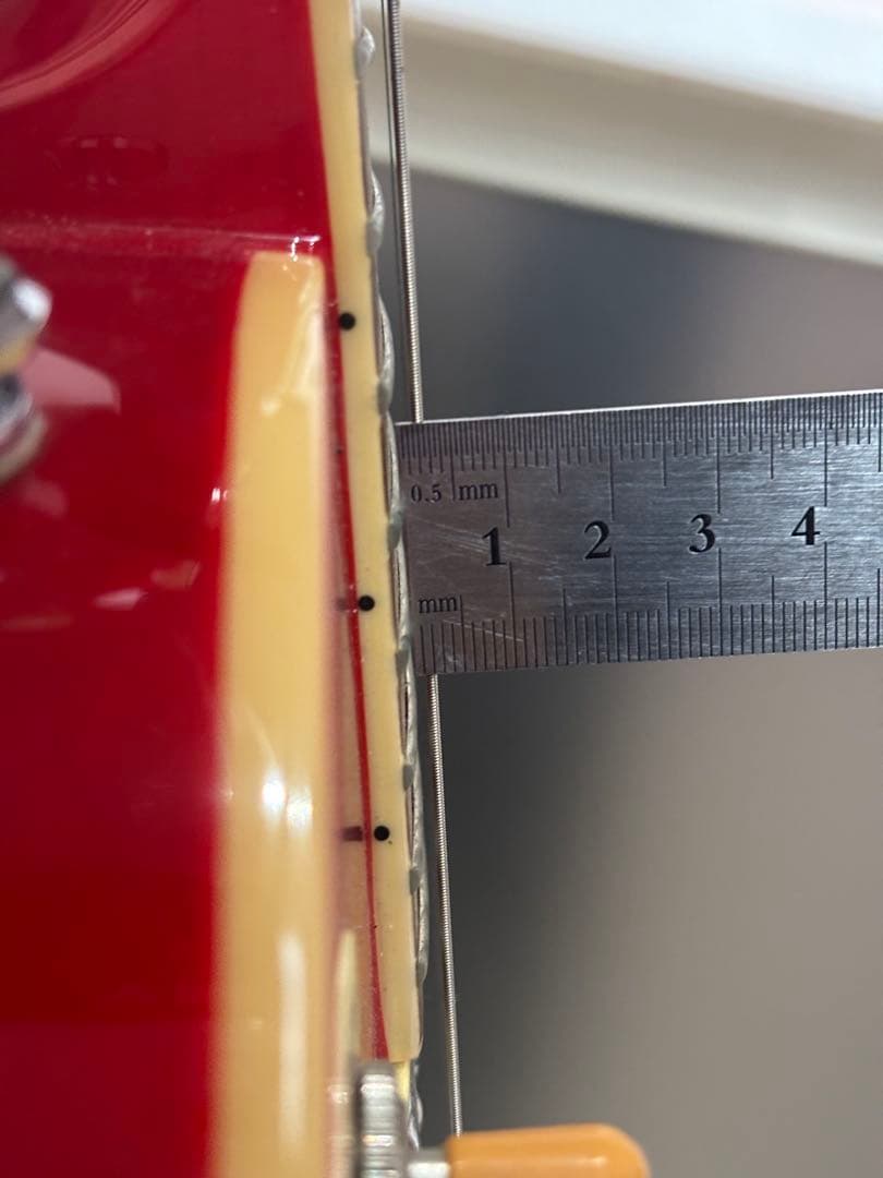 Tokai Love Rock サンバースト