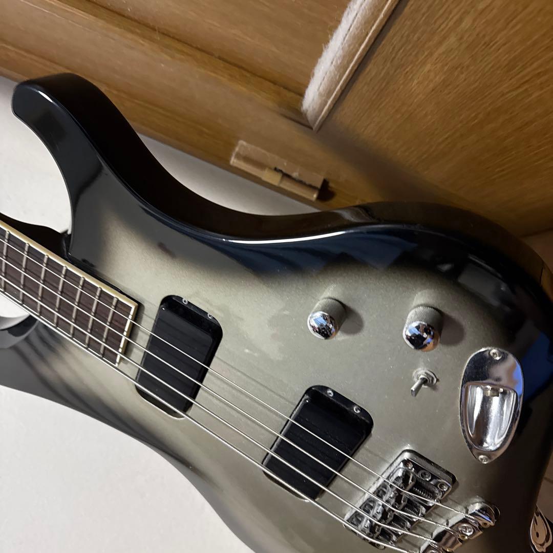 Burny ka-yuモデル　シルバーサンバースト