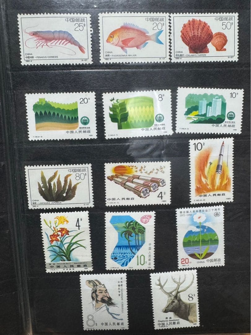 中国 切手 コレクション