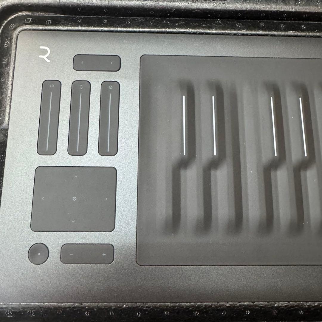 【極美品】ROLI Seaboard RISE 25&専用FilpCaseセット