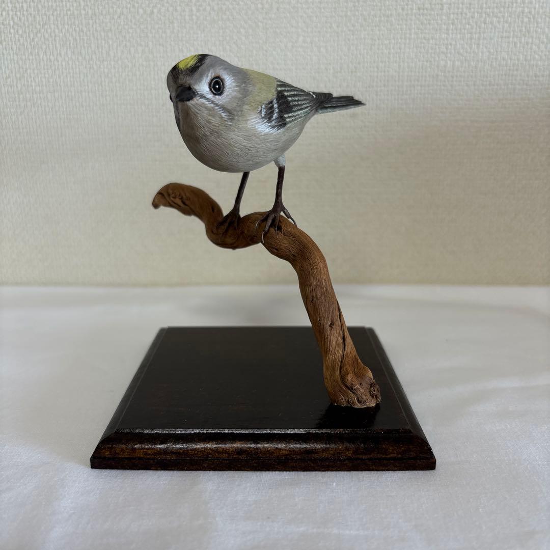 バードカービング　キクイタダキ