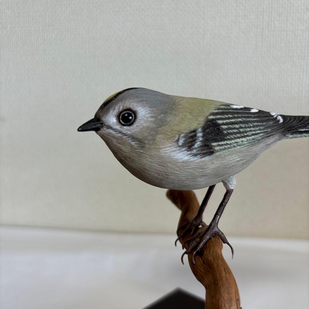 バードカービング　キクイタダキ