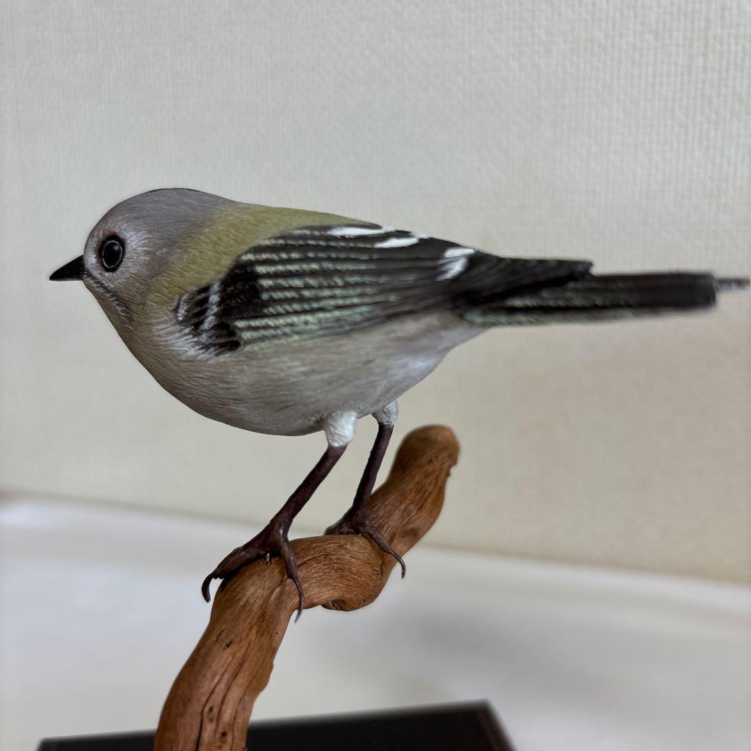 バードカービング　キクイタダキ