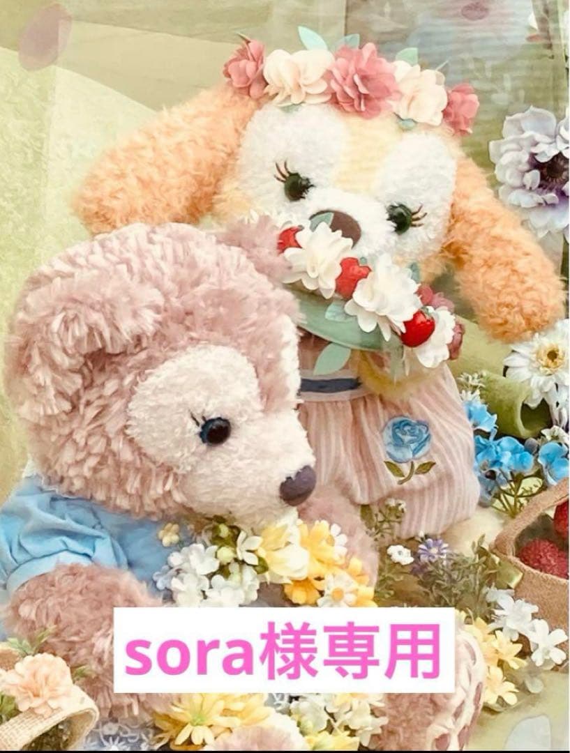 sora チップスターバラエティ　8個入り　15セット　徳用チョコ4セット