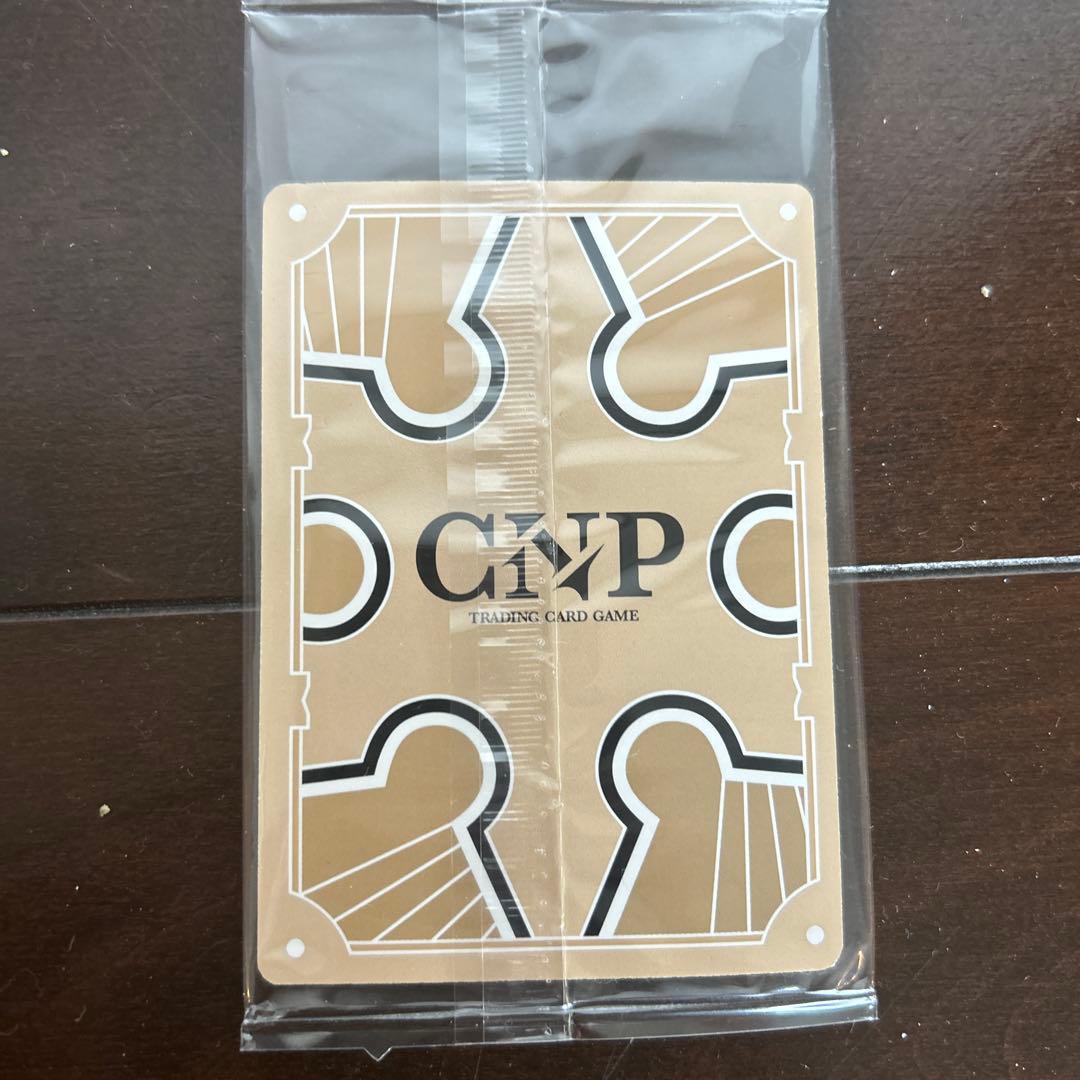 CNP トレーディングカード 不屈