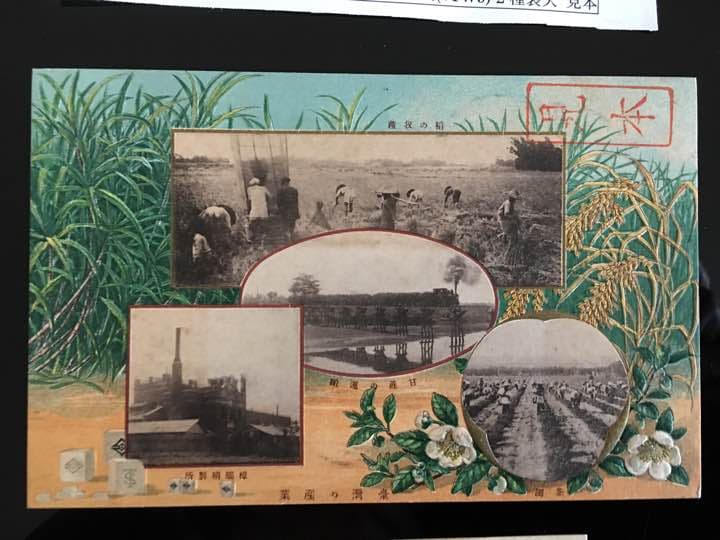 台湾総督府 第15回始政記念ハガキ 見本 台湾地図