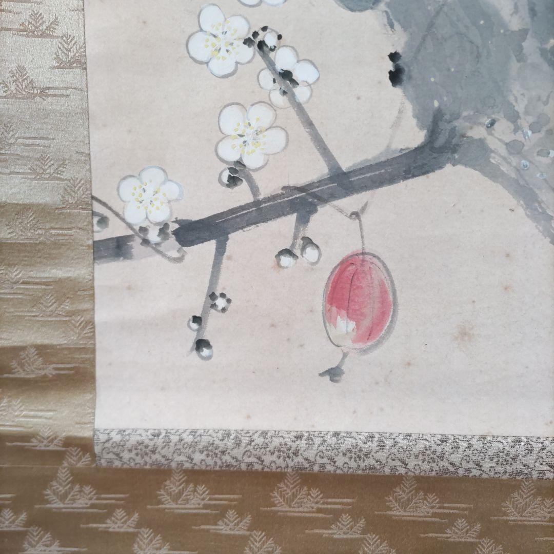 梅に鶯　英鳳　掛軸　Y272