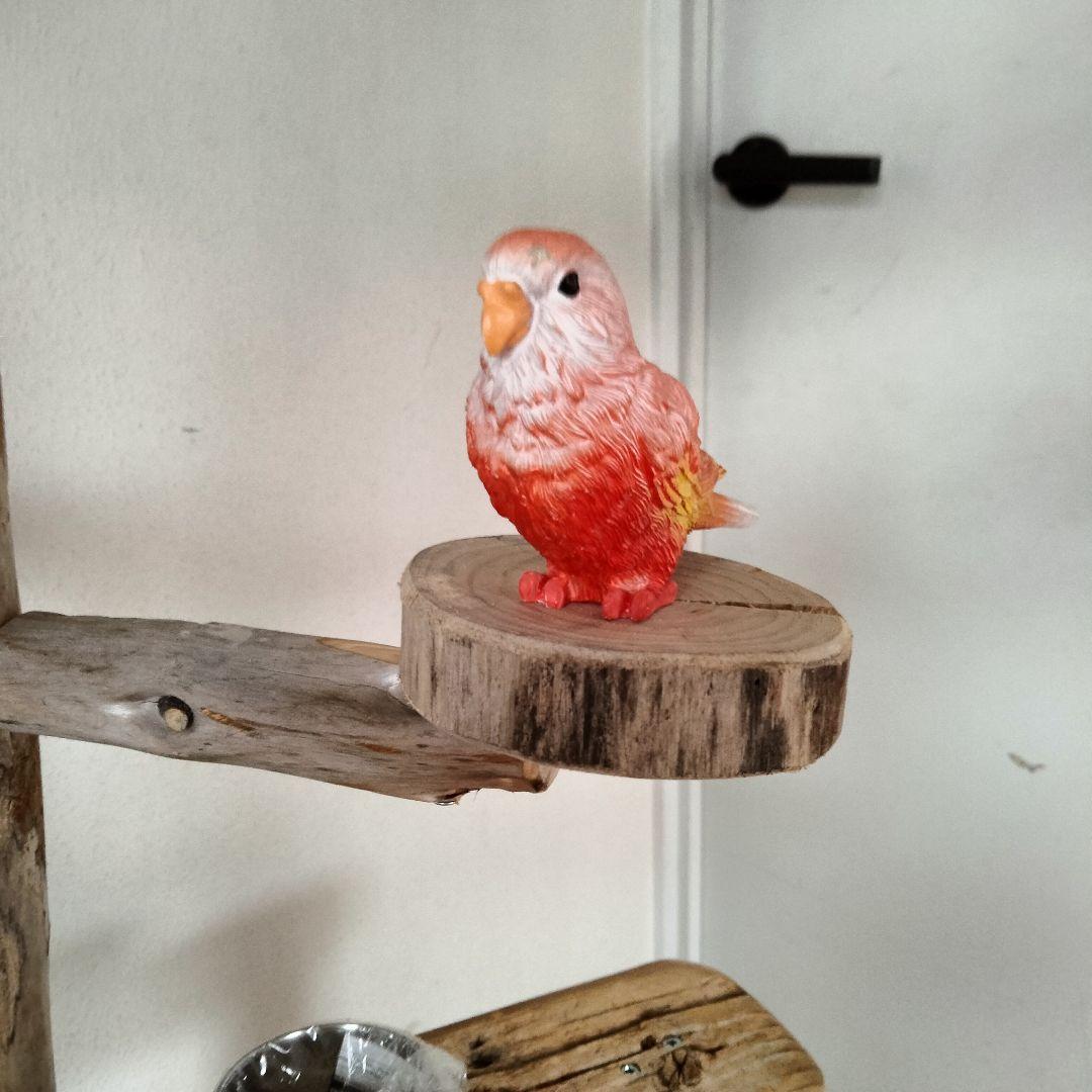 KURIONE SHOP バードアスレチックジム 自然木 流木 止まり木