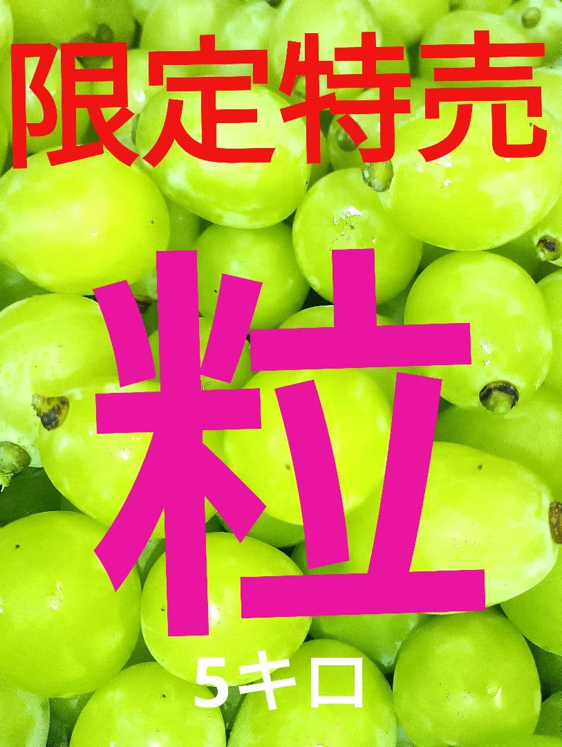 シャインマスカットの大粒グリーン多め入り、5キロ粒バック入りになります。