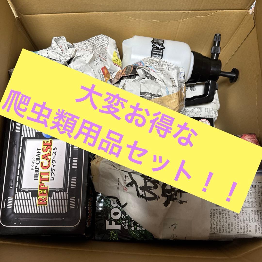 お*い様 爬虫類用品②