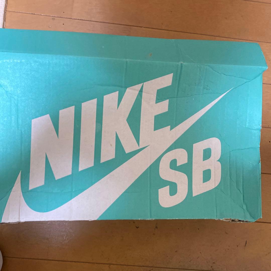 (新品未使用)26.5cmNIKEエスビー アリウープ SB Alleyoop