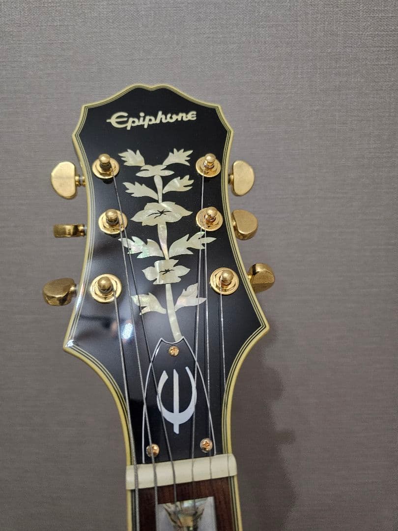 りささま専用Epiphone Sheraton II PRO ブラック