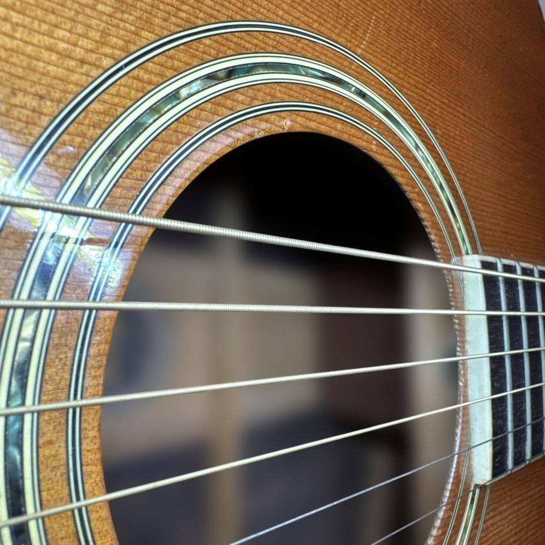 MORRIS ギター　W-50 ケース付