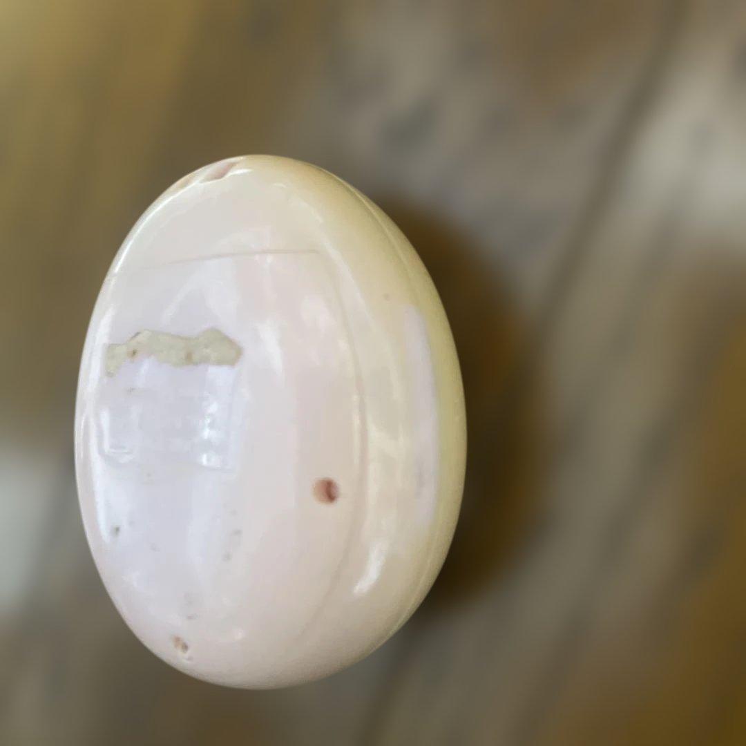 たまごっちピース　たまごっちＰ's たまごっち